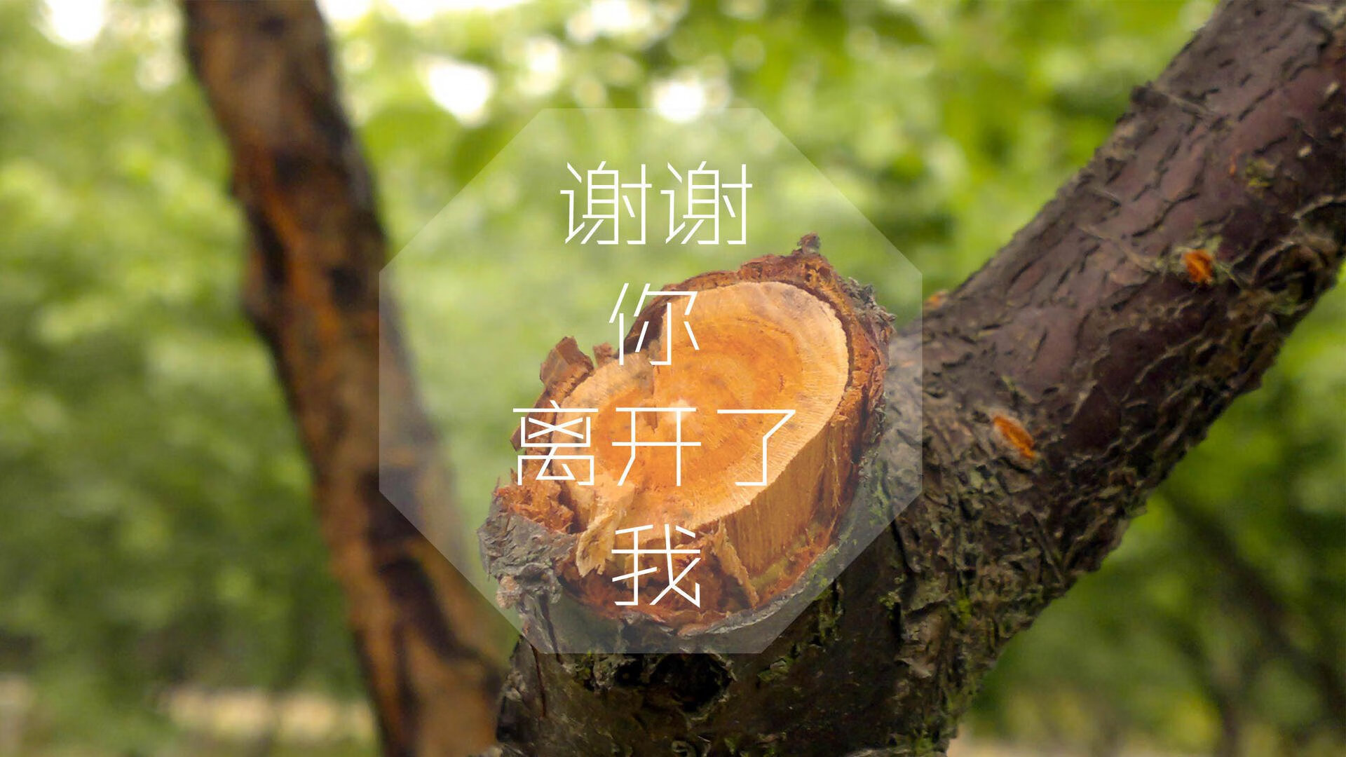 阿尔阿赫利签约新医疗团队，提升球员健康管理，阿尔阿赫利哈米斯