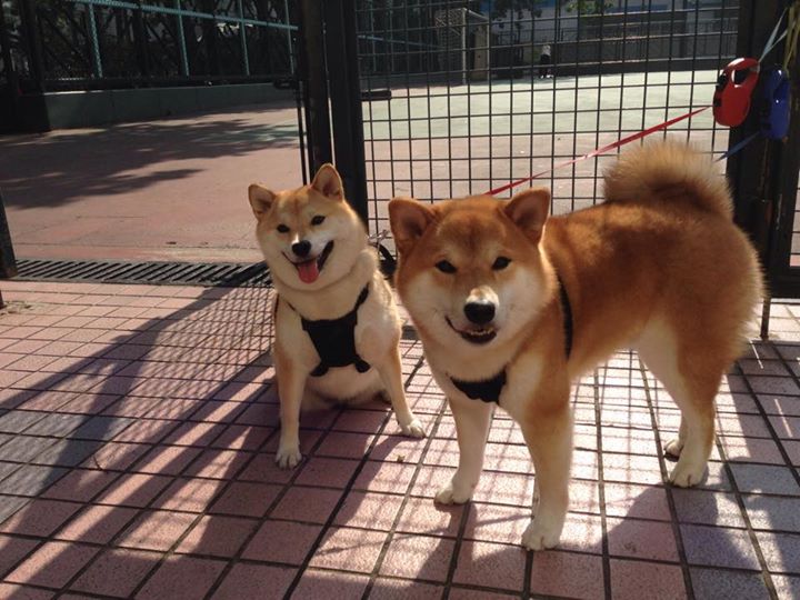 利物浦边锋突破频繁成为比赛关键点，利物浦的阵型2020