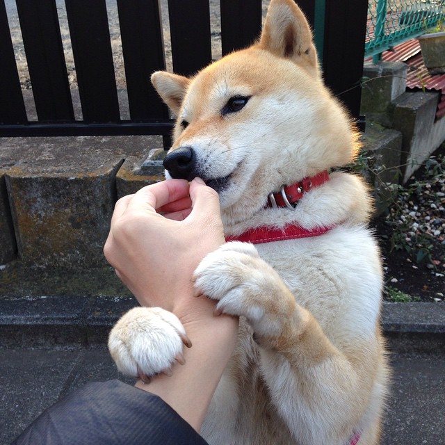 拜仁强打右路,频频撕裂博卡防线,拜仁一直很强