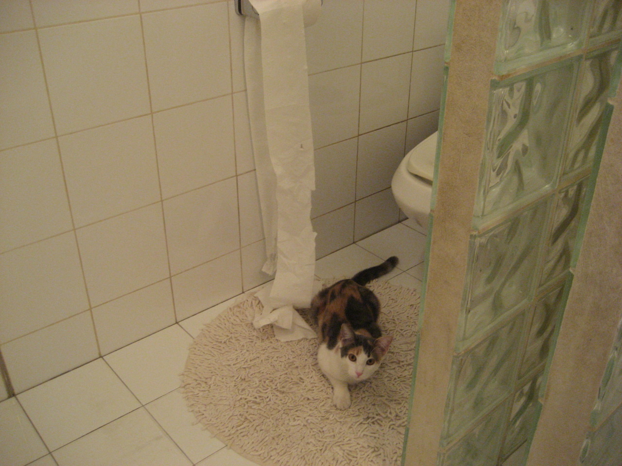 贝克汉姆谈中国足球 需要系统性培养，贝克汉姆中国足球形象大使